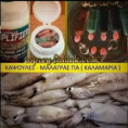 /products/mydi-amplifier-ydrodialytes-kapsoyles-malagras/